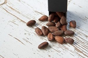 cocoa-bean-1282878_640